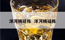 洋河杨廷栋  洋河杨延栋