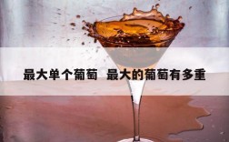 最大单个葡萄  最大的葡萄有多重