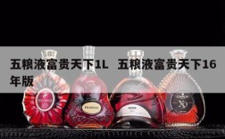 五粮液富贵天下1L  五粮液富贵天下16年版