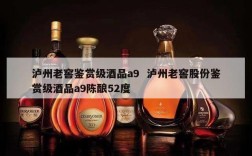 泸州老窖鉴赏级酒品a9  泸州老窖股份鉴赏级酒品a9陈酿52度