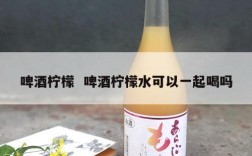 啤酒柠檬  啤酒柠檬水可以一起喝吗