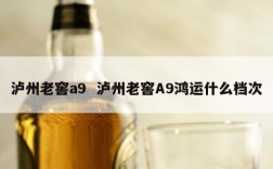 泸州老窖a9  泸州老窖A9鸿运什么档次