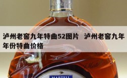 泸州老窖九年特曲52图片  泸州老窖九年年份特曲价格
