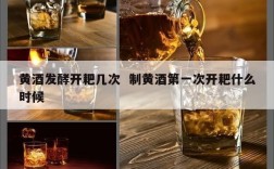 黄酒发酵开耙几次  制黄酒第一次开耙什么时候