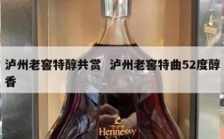 泸州老窖特醇共赏  泸州老窖特曲52度醇香