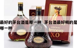最好的茅台酒是那一种  茅台酒最好喝的是哪一种