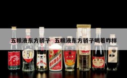 五粮液东方骄子  五粮液东方骄子喝着咋样