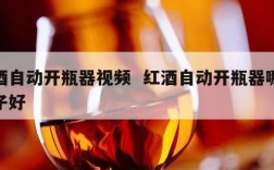 红酒自动开瓶器视频  红酒自动开瓶器哪个牌子好