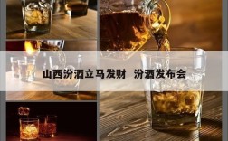 山西汾酒立马发财  汾酒发布会