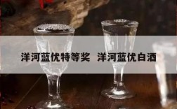洋河蓝优特等奖  洋河蓝优白酒