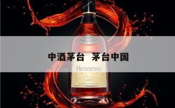 中酒茅台  茅台中国