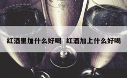 红酒里加什么好喝  红酒加上什么好喝