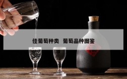 佳葡萄种类  葡萄品种图鉴