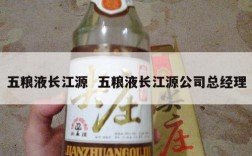 五粮液长江源  五粮液长江源公司总经理