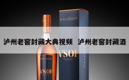 泸州老窖封藏大典视频  泸州老窖封藏酒