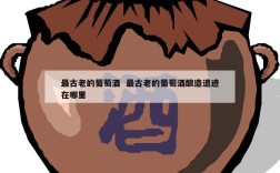 最古老的葡萄酒  最古老的葡萄酒酿造遗迹在哪里