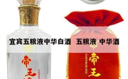宜宾五粮液中华白酒  五粮液 中华酒