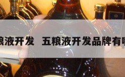 五粮液开发  五粮液开发品牌有哪些