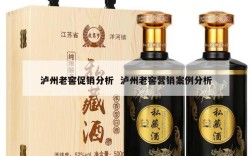 泸州老窖促销分析  泸州老窖营销案例分析