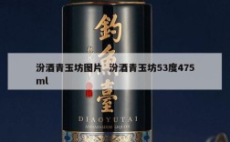 汾酒青玉坊图片  汾酒青玉坊53度475ml