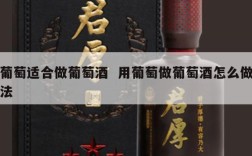 葡萄适合做葡萄酒  用葡萄做葡萄酒怎么做法