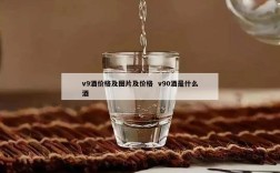 v9酒价格及图片及价格  v90酒是什么酒
