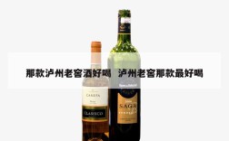 那款泸州老窖酒好喝  泸州老窖那款最好喝