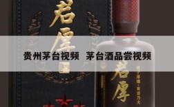 贵州茅台视频  茅台酒品尝视频