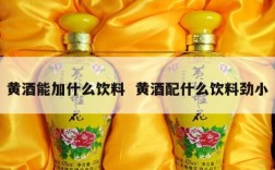 黄酒能加什么饮料  黄酒配什么饮料劲小