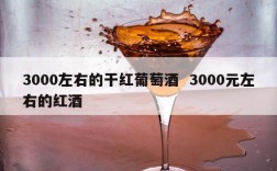 3000左右的干红葡萄酒  3000元左右的红酒