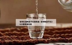 智利红酒梅洛干红葡萄酒  智利梅洛干红2019葡萄酒价格