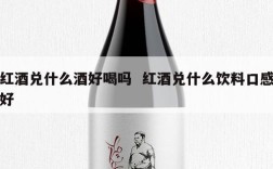 红酒兑什么酒好喝吗  红酒兑什么饮料口感好