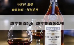 咸亨黄酒5gk  咸亨黄酒怎么样