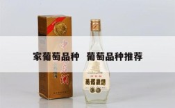 家葡萄品种  葡萄品种推荐