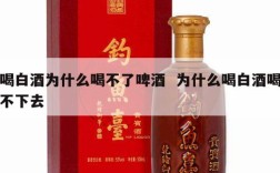 喝白酒为什么喝不了啤酒  为什么喝白酒喝不下去