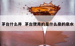 茅台什么井  茅台使用的是什么泉的泉水