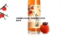 泸州老窖十代52度  泸州老窖第十代中华老字号