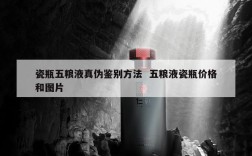 瓷瓶五粮液真伪鉴别方法  五粮液瓷瓶价格和图片
