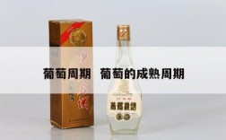 葡萄周期  葡萄的成熟周期