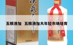 五粮液加  五粮液加大年轻市场培育