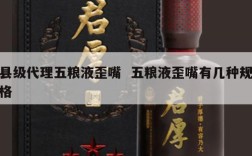 县级代理五粮液歪嘴  五粮液歪嘴有几种规格