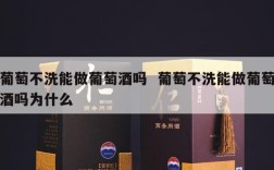 葡萄不洗能做葡萄酒吗  葡萄不洗能做葡萄酒吗为什么
