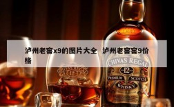 泸州老窖x9的图片大全  泸州老窖窖9价格