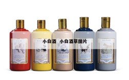 小白酒  小白酒草图片