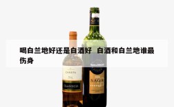 喝白兰地好还是白酒好  白酒和白兰地谁最伤身