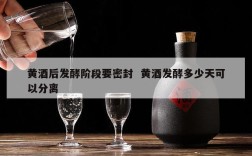 黄酒后发酵阶段要密封  黄酒发酵多少天可以分离