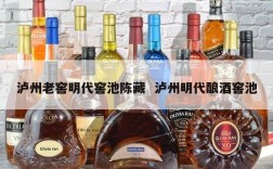 泸州老窖明代窖池陈藏  泸州明代酿酒窖池