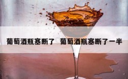 葡萄酒瓶塞断了  葡萄酒瓶塞断了一半