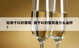 能做干红的葡萄  做干红的葡萄是什么品种?