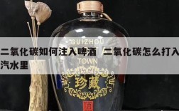 二氧化碳如何注入啤酒  二氧化碳怎么打入汽水里